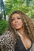 Mestre Trans Paolina Mulatta 333 2910933 foto selfie 17