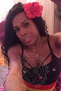 Mestre Trans Paolina Mulatta 333 2910933 foto selfie 29