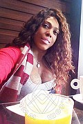 Mestre Trans Paolina Mulatta 333 2910933 foto selfie 13