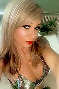 Villorba Trans Pamy La Diva Stellare 324 7819703 foto selfie 671