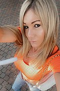 Villorba Trans Pamy La Diva Stellare 324 7819703 foto selfie 742