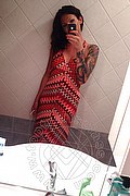 Treviso Trans Valeria 338 8718849 foto selfie 857