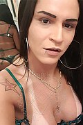 Vibo Valentia Trans Cassidy Ferraro 329 9090136 foto selfie 26