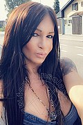 Villorba Trans Pamy La Diva Stellare 324 7819703 foto selfie 945