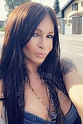 Villorba Trans Pamy La Diva Stellare 324 7819703 foto selfie 995