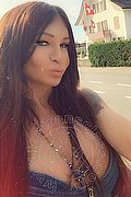 Villorba Trans Pamy La Diva Stellare 324 7819703 foto selfie 993