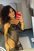 Gallarate Trans Kauane Lima 351 4438227 foto selfie 11