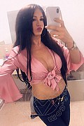 Villorba Trans Pamy La Diva Stellare 324 7819703 foto selfie 1010