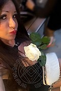 Villorba Trans Pamy La Diva Stellare 324 7819703 foto selfie 1159