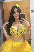 Mantova Trans Helena Dias 327 9339241 foto selfie 18