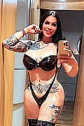 Amsterdam Trans Lissandra 0031 645710434 foto selfie 11