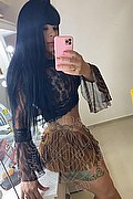 Verona Trans Mylla Brazao 346 3631420 foto selfie 5