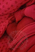 Milano Trans Leysi Mishelle 388 1553206 foto selfie 33