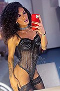 Gallarate Trans Kauane Lima 351 4438227 foto selfie 8