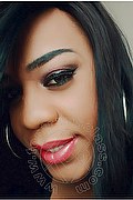 Lodi Trans Dryka 371 1943155 foto selfie 7