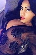 Lodi Trans Dryka 371 1943155 foto selfie 4