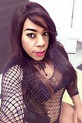 Lodi Trans Dryka 371 1943155 foto selfie 3