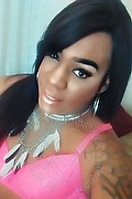 Lodi Trans Dryka 371 1943155 foto selfie 5