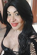 Prato Trans Taina Oliveira 328 5382487 foto selfie 18