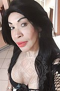 Prato Trans Taina Oliveira 328 5382487 foto selfie 14