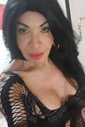 Prato Trans Taina Oliveira 328 5382487 foto selfie 12