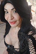 Prato Trans Taina Oliveira 328 5382487 foto selfie 11