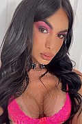 Martinsicuro Trans Venus Dior 350 9174317 foto selfie 1