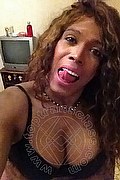 Mestre Trans Paolina Mulatta 333 2910933 foto selfie 4