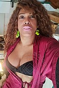 Mestre Trans Paolina Mulatta 333 2910933 foto selfie 1