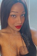 Salerno Trans Adriana 392 4409822 foto selfie 12