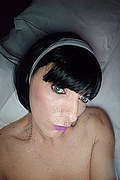 Novi Ligure Trans Stefania Zanco 379 2374980 foto selfie 1