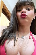 Trento Trans Gabriella Andrade 328 0050444 foto selfie 3