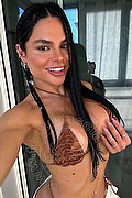 Barletta Trans Patricia Arcanjo 338 1741476 foto selfie 4