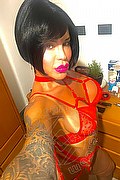 Verona Trans Diana Marini 328 0291220 foto selfie 9