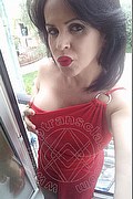 Cabo Frio Trans Raffaella Bastos 0055 62996339624 foto selfie 38