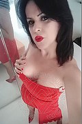 Cabo Frio Trans Raffaella Bastos 0055 62996339624 foto selfie 33