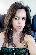 Cabo Frio Trans Raffaella Bastos 0055 62996339624 foto selfie 67