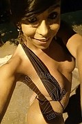 Sanremo Trans Vivy Noronha 333 1867209 foto selfie 14