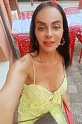 Padova Trans Kartika 349 2231753 foto selfie 3