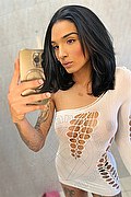 Bologna Trans Brunna Campanaro 351 0706381 foto selfie 2