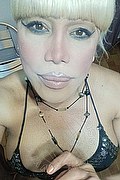 Bergamo Trans Nicole Vip Venturiny 353 3538868 foto selfie 104