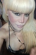 Bergamo Trans Nicole Vip Venturiny 353 3538868 foto selfie 98