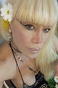 Milano Trans Nicole Vip Venturiny 353 3538868 foto selfie 133