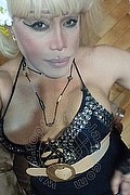 Milano Trans Nicole Vip Venturiny 353 3538868 foto selfie 129