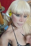 Milano Trans Nicole Vip Venturiny 353 3538868 foto selfie 128