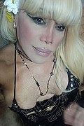 Milano Trans Nicole Vip Venturiny 353 3538868 foto selfie 127