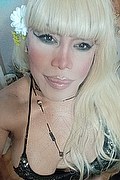 Milano Trans Nicole Vip Venturiny 353 3538868 foto selfie 117