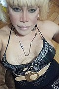 Milano Trans Nicole Vip Venturiny 353 3538868 foto selfie 102