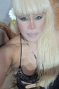 Milano Trans Nicole Vip Venturiny 353 3538868 foto selfie 101