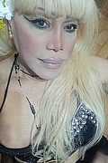 Milano Trans Nicole Vip Venturiny 353 3538868 foto selfie 98